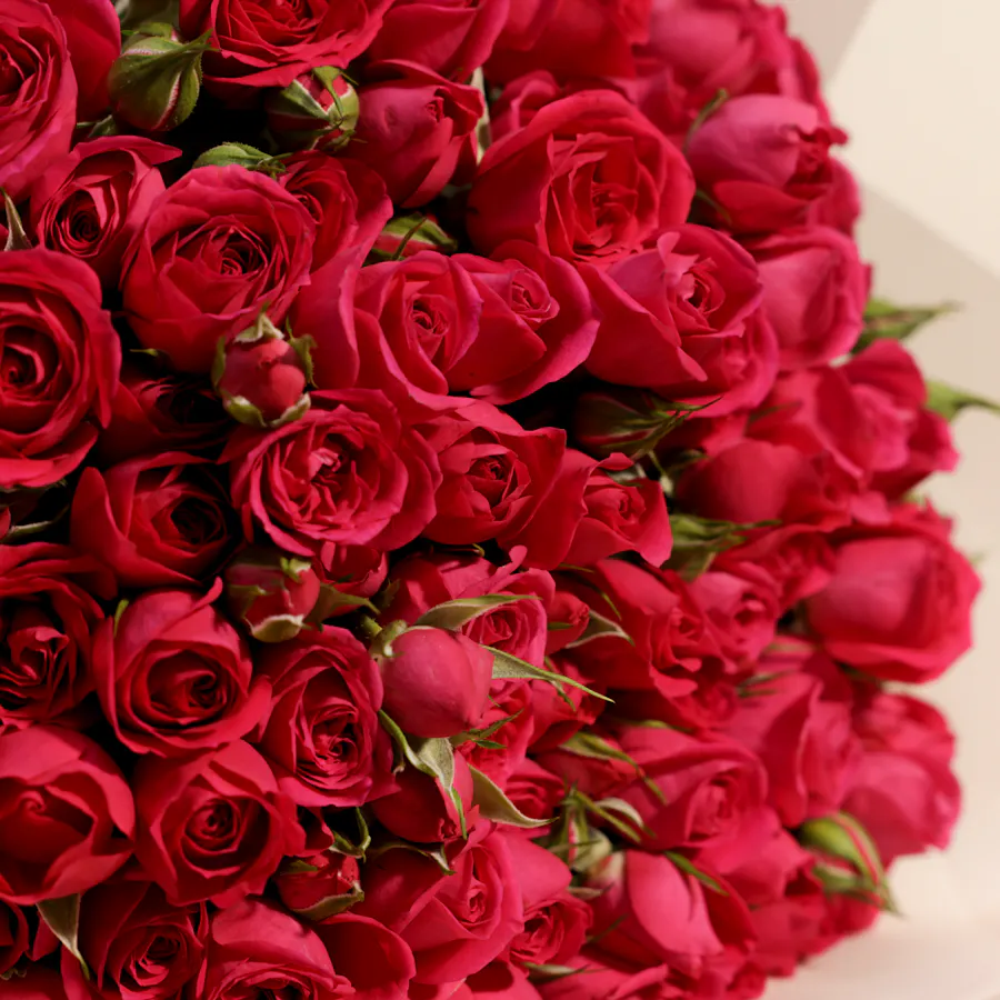 Graceful Fuchsia Baby Roses Bouquet | 25 Flowers 2
