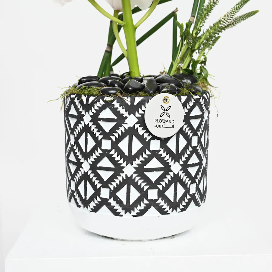 Unique Cymbidium | Vase 3