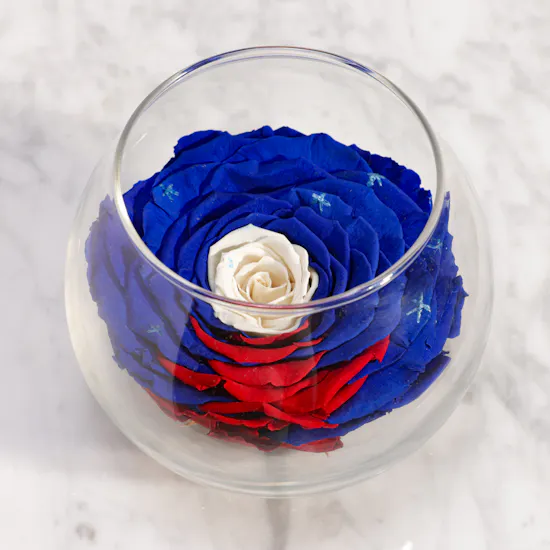 Preserved Blue and Red Rose with White Center