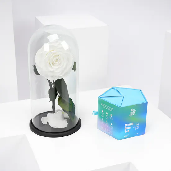Preserved White Rose with Feel Good Tea