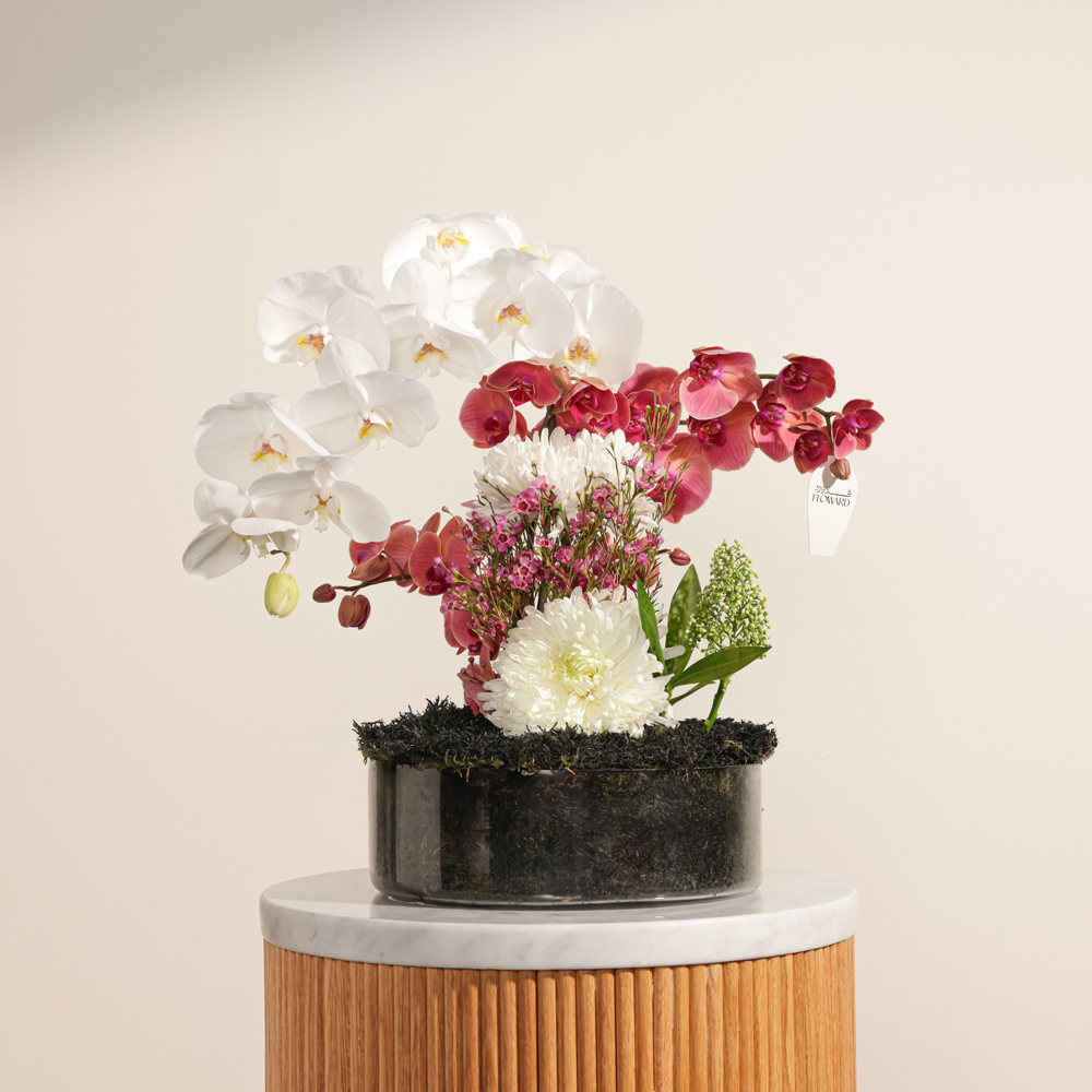 مزهرية الحديقة الساحرة