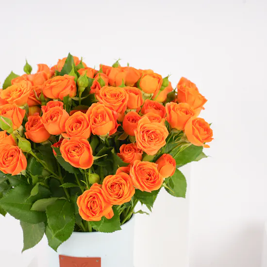 Floward Caramel Chocolate Box | Orange Baby Roses