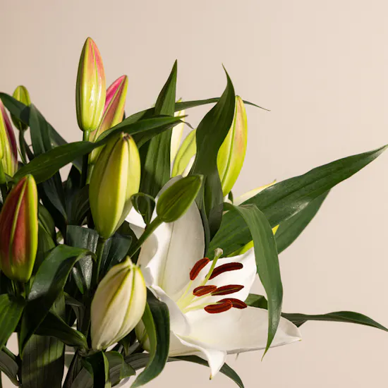 Marvelous Lilies | Glass Vase
