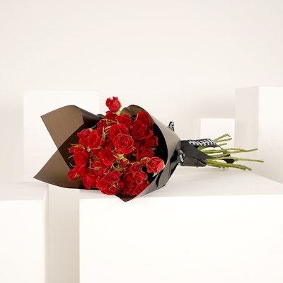 20 Red Baby Roses Hand Bouquet II