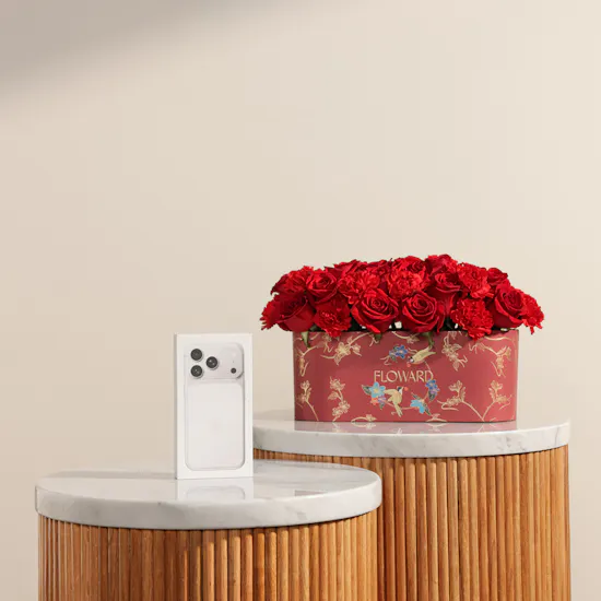 Apple iPhone 17 Pro Silver 256GB | Elegant Red Flowers Box