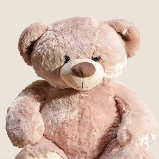 Floward Cute Brown Bear Plush Toy