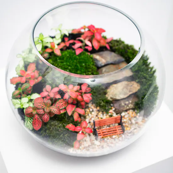 Enchanting Little Garden | Closed Terrarium