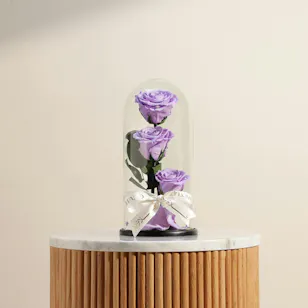 Light Purple Preserved Roses Dome