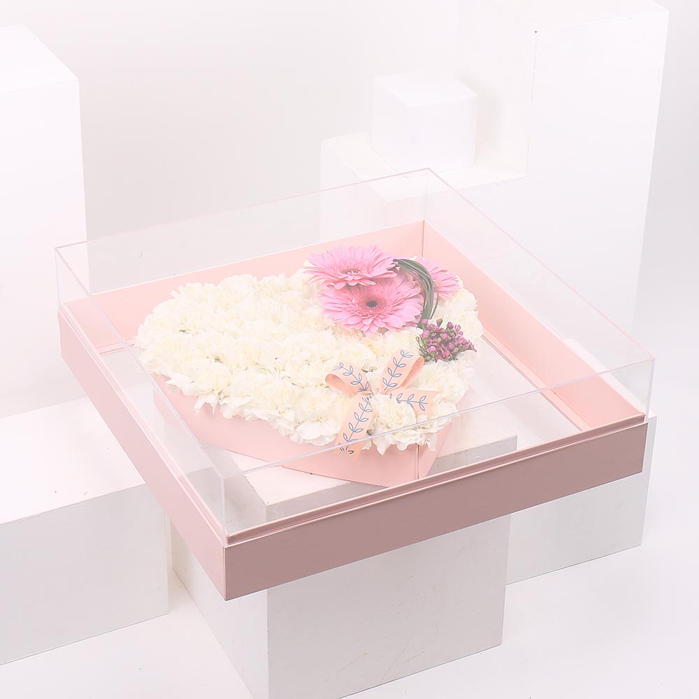 قلب الجربيرا 