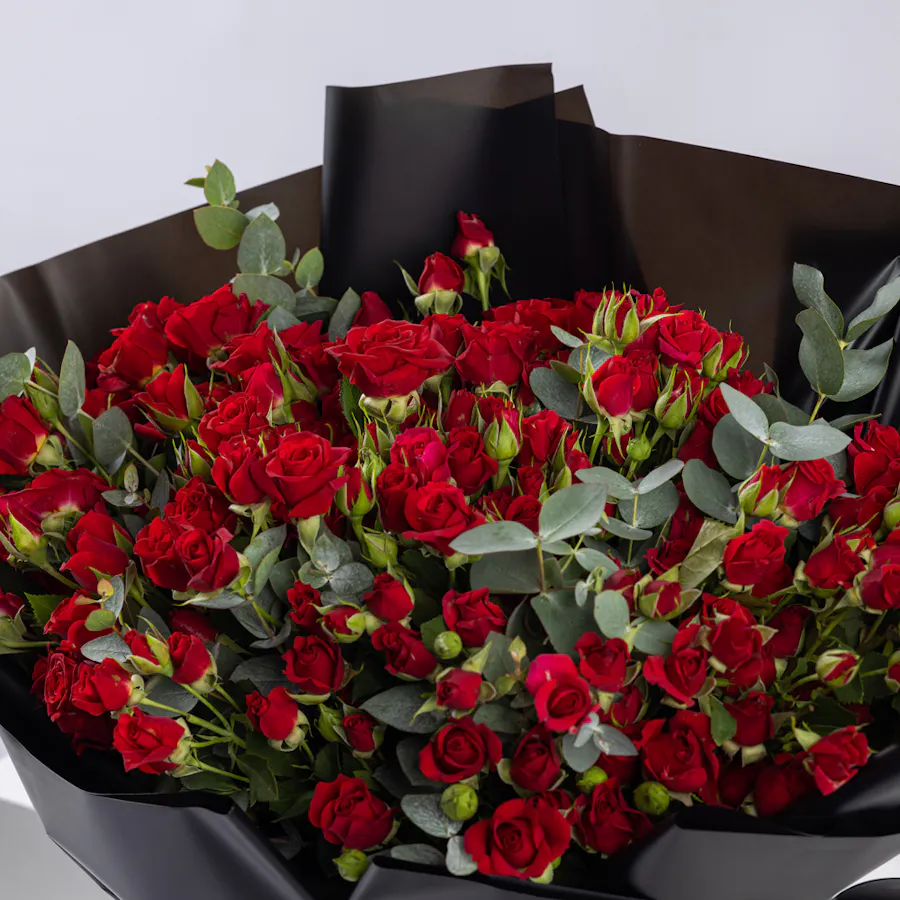 50 Red Baby Roses | Black Wrap 3