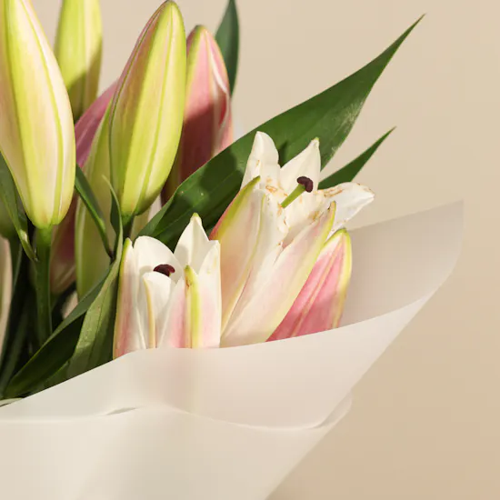 Anoosh Petite Chocolate Box | Full of Value Flowers Bouquet