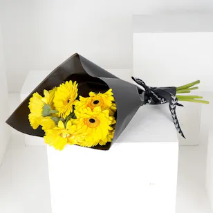 12 Gerbera | Black Wrap 12 Gerbera | Black Wrap