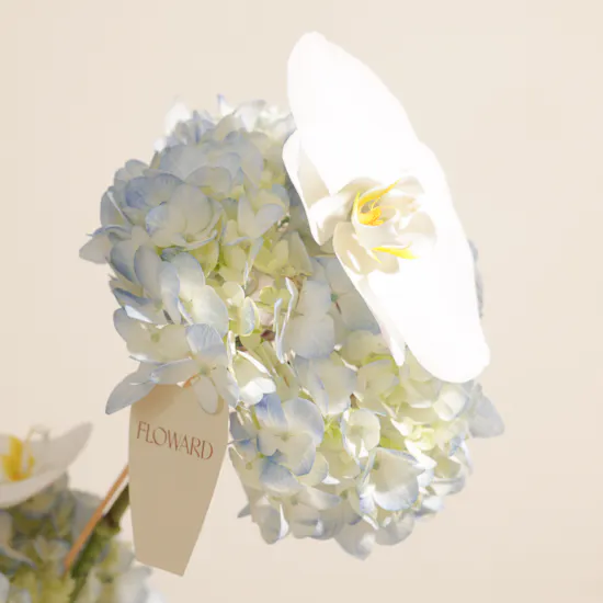 Floward Personalized Photo Blue Cake | Birthday Flowers and Balloon