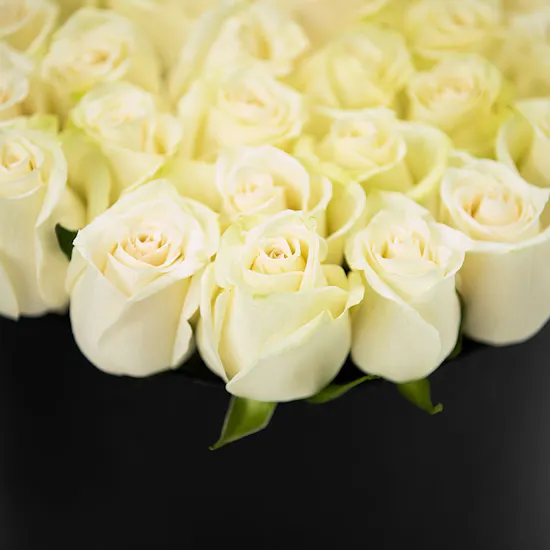 40 White Roses | Black Box