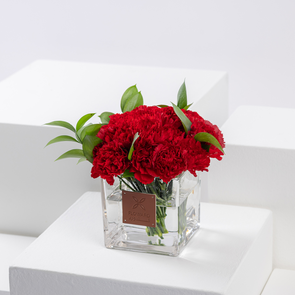 25 Passion Carnations | Square Vase