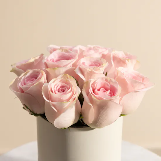 Soft Pink Rose Box