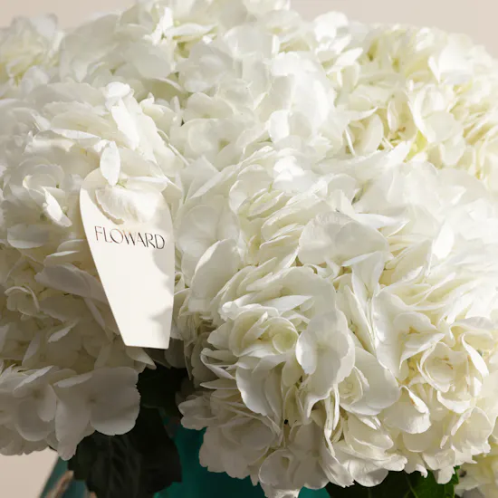 Ethereal White Hydrangea Vase