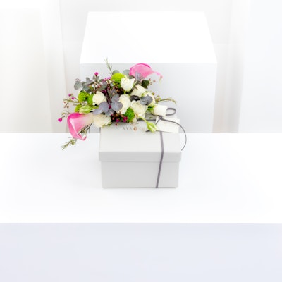 Truffle Box