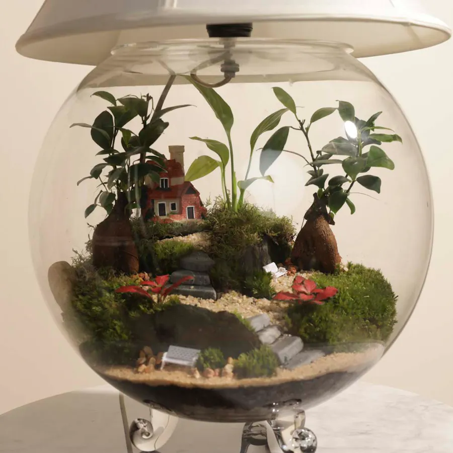 Enchanting Garden Lamp | Closed Terrarium 2