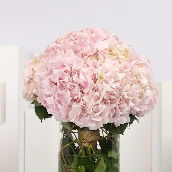 Pink Hydrangea Vase