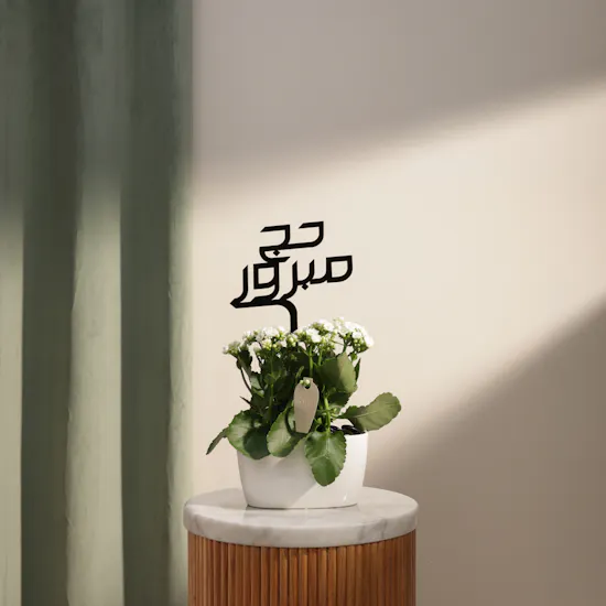 Charming Hajj White Kalanchoe Plant