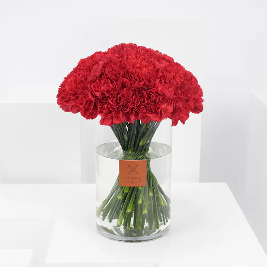 Red Carnations | Cylinder Vase