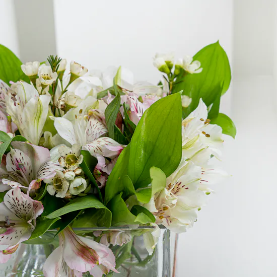 Colorful Alstroemeria | Square Vase