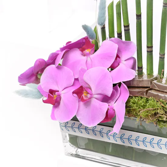 Little Garden Vase | Chocolates