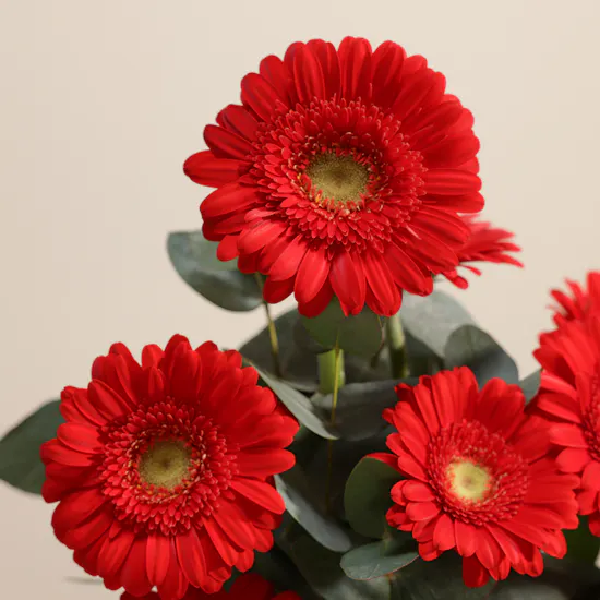 Garden Scent Flower Vase