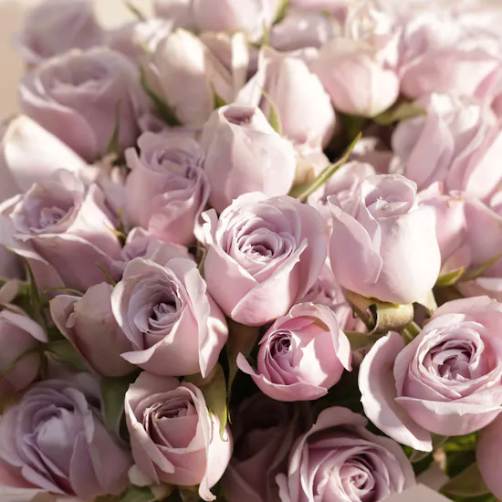 Godiva Elegant Chocolate Box | Joyful Gathering Flower Bouquet