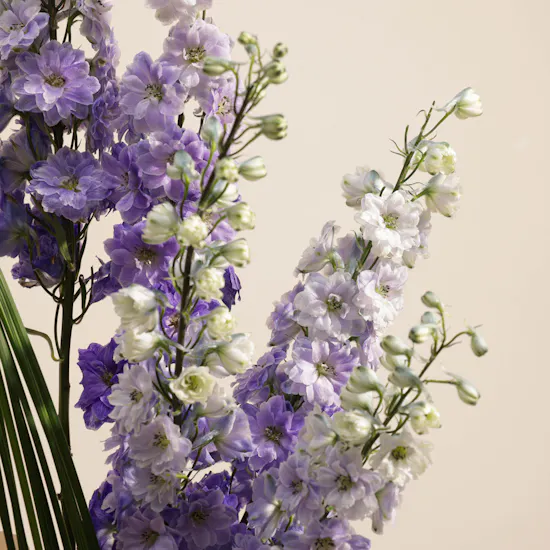 Love Whispers Vase