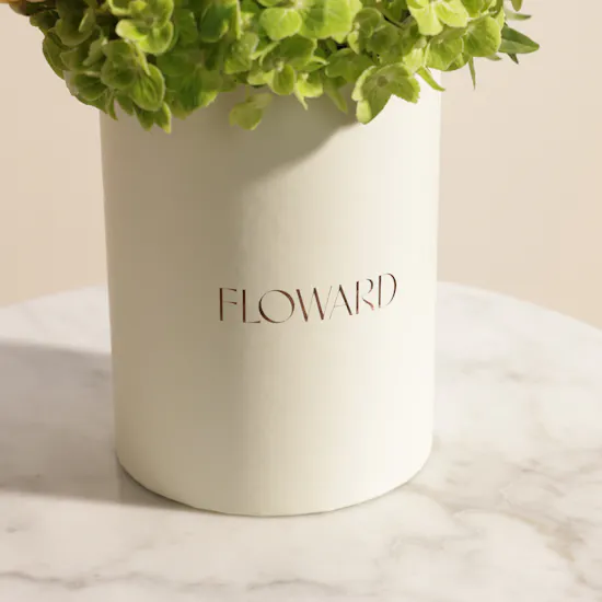 Heritage of Pride Flower Box