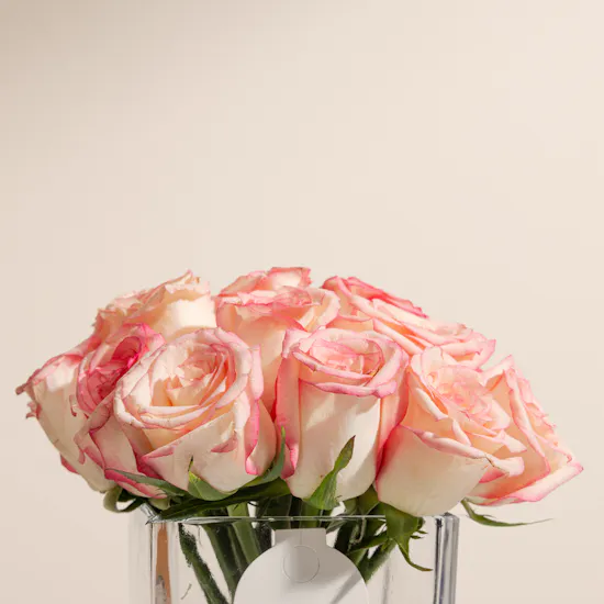 Esperance Roses | Glass Vase