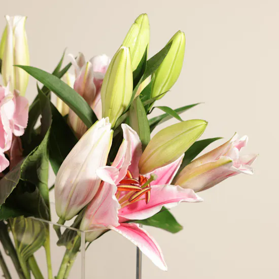 Magic of Blush Flower Vase