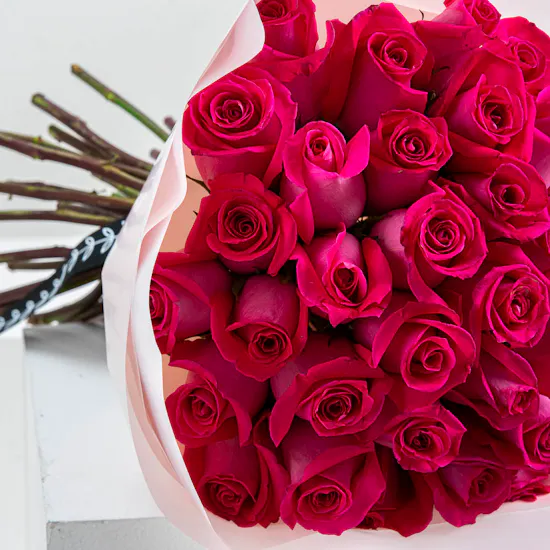 Fuchsia Roses | Pink Wrap