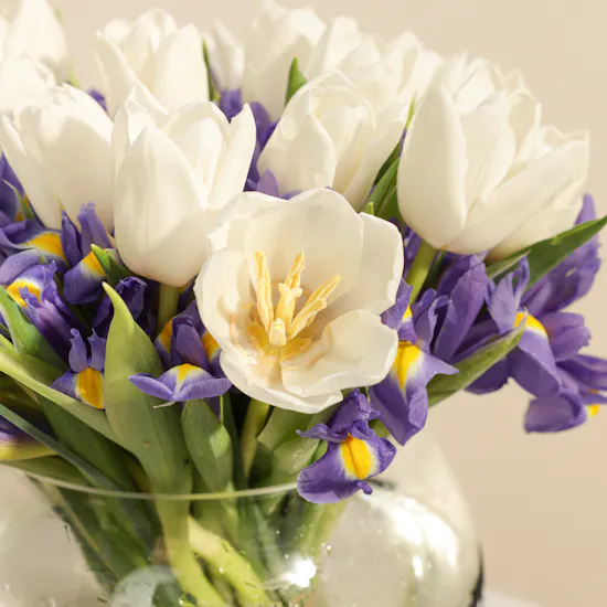 Blooming Blues | 60 Flowers