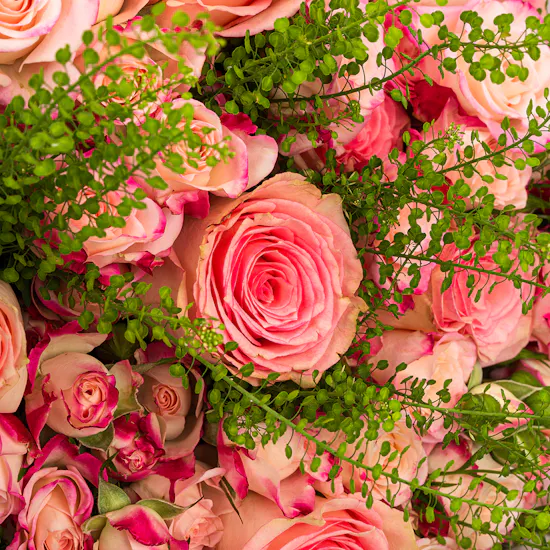 Engineering | Esperance Rose