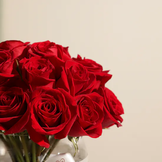 Blissful Red Roses Vase | 25 Roses