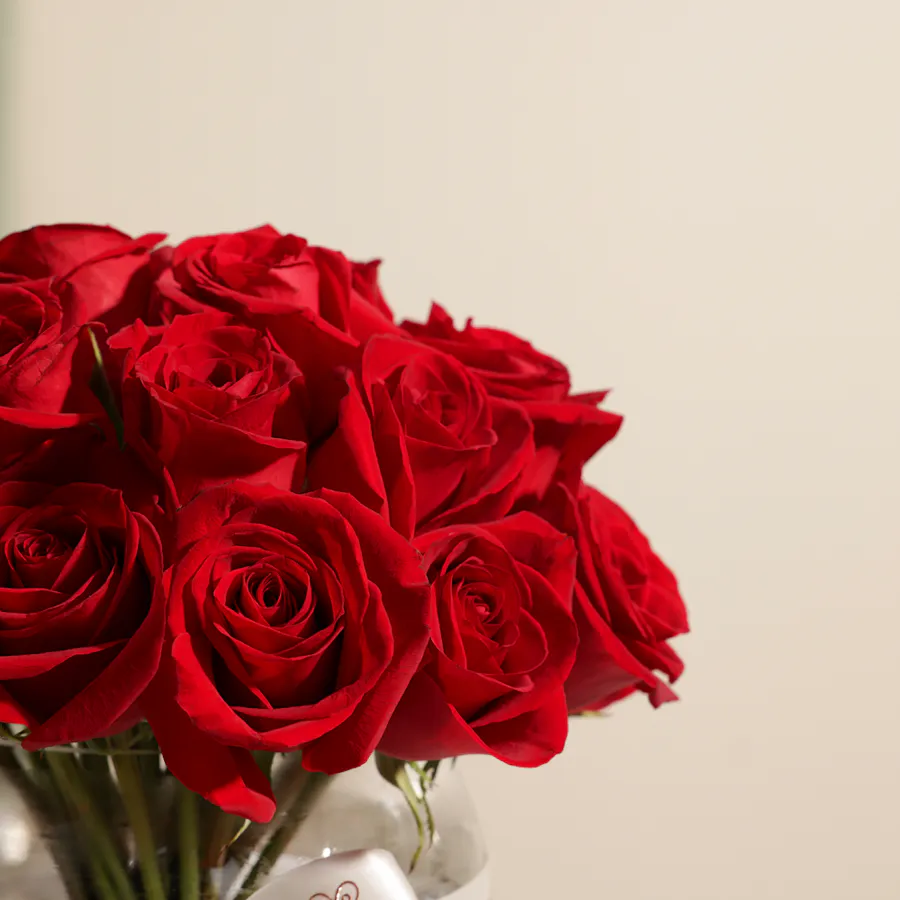 Blissful Red Roses Vase | 25 Roses 3