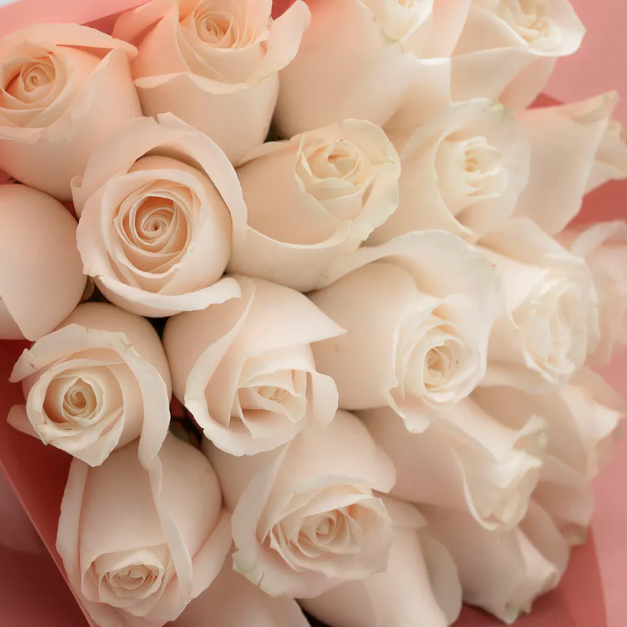 Sucre De Nada Birthday Cake | White Roses 5