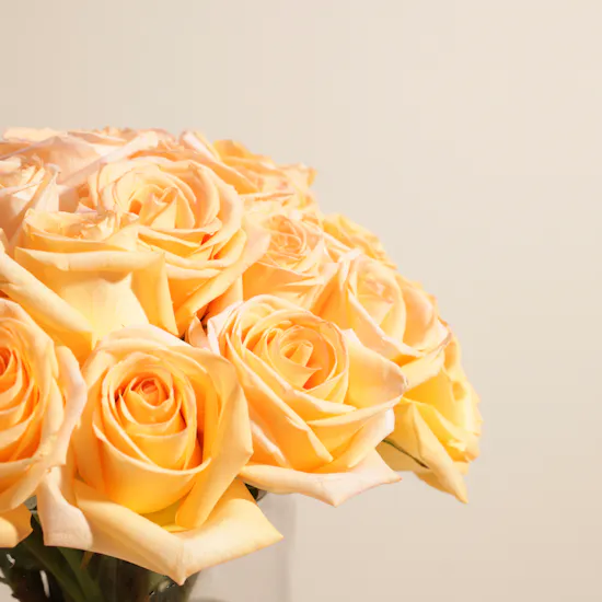 Delicate Peach Rose Vase | 35 Roses