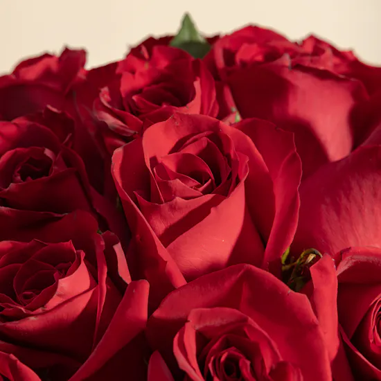 Red Roses Vase | 25 Rose