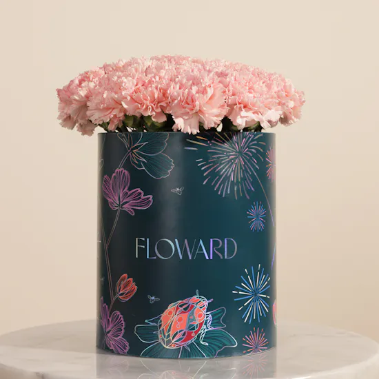 Gentle Pink Carnation Box | 35 Flowers