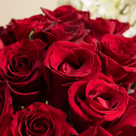 Crimson Blooms Flowers Vase