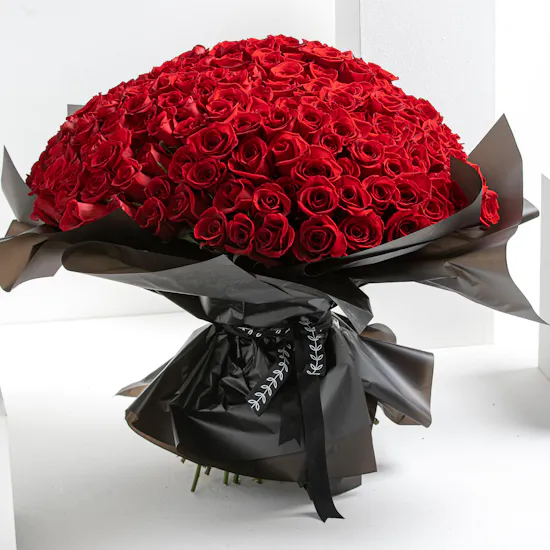 Showstopper | 250 Rose