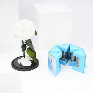 Preserved White Rose with Feel Good Tea Preserved White Rose with Feel Good Tea