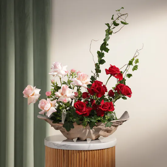 Enchanted Roses Vase