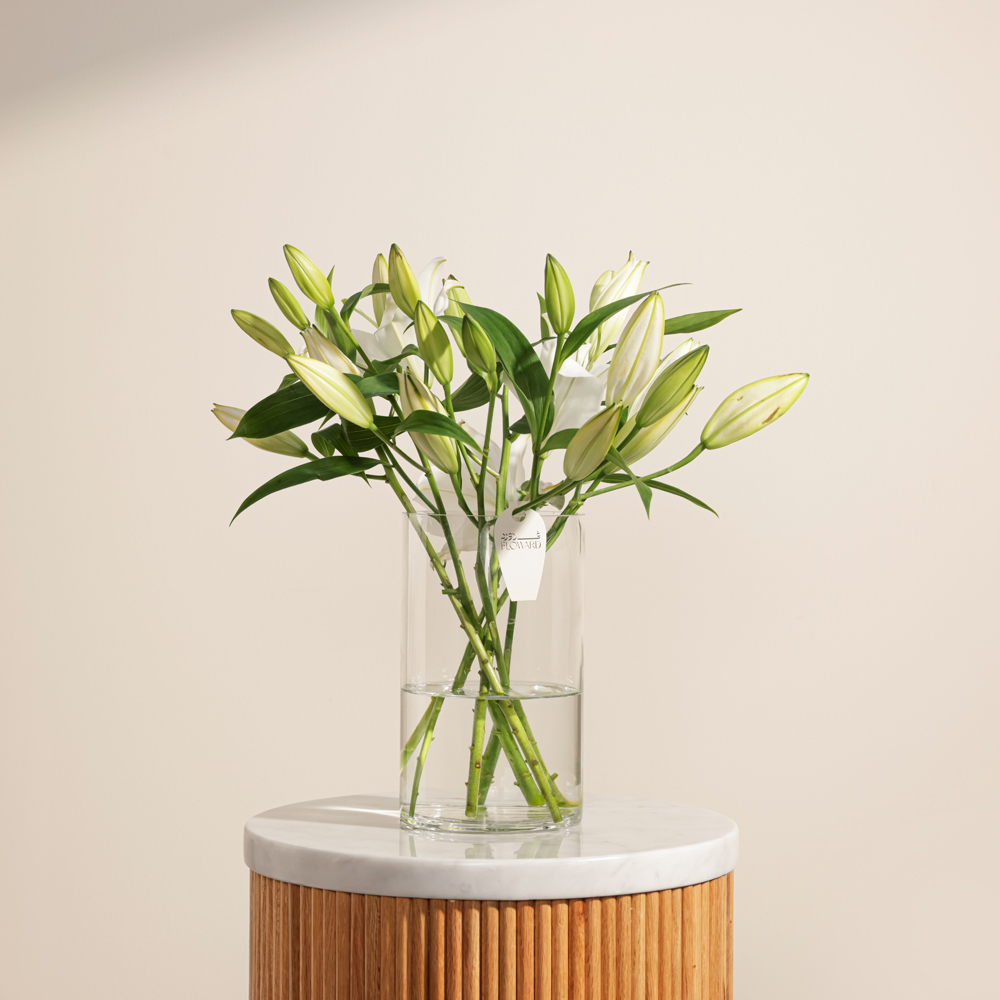 ليليوم أبيض | مزهرية زجاجية