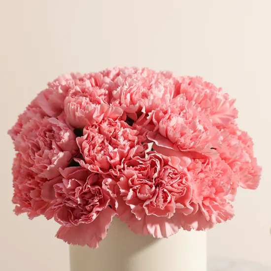 Made 51 Peace Bear | Shinny Flowers