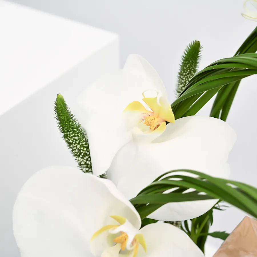 Ibrahim Alqurashi Balase Rose | Wedding Blooms 6